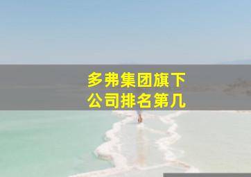 多弗集团旗下公司排名第几