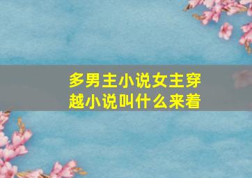 多男主小说女主穿越小说叫什么来着