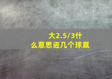 大2.5/3什么意思进几个球赢