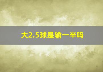 大2.5球是输一半吗