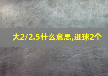 大2/2.5什么意思,进球2个