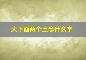 大下面两个土念什么字