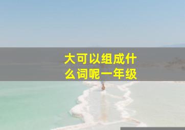 大可以组成什么词呢一年级