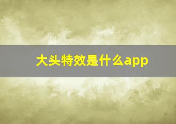 大头特效是什么app