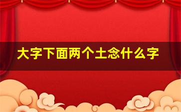 大字下面两个土念什么字