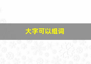 大字可以组词