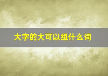 大字的大可以组什么词