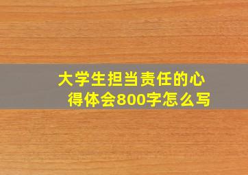 大学生担当责任的心得体会800字怎么写