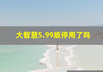 大智慧5.99版停用了吗