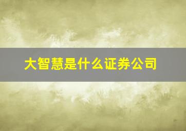 大智慧是什么证券公司