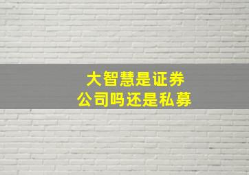 大智慧是证券公司吗还是私募