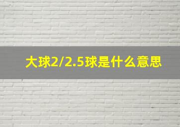 大球2/2.5球是什么意思