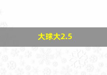 大球大2.5