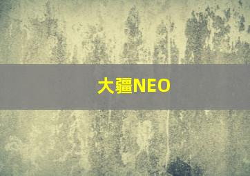 大疆NEO