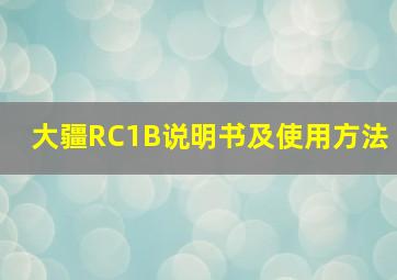 大疆RC1B说明书及使用方法