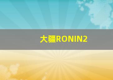 大疆RONIN2