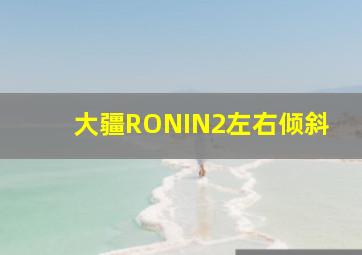 大疆RONIN2左右倾斜