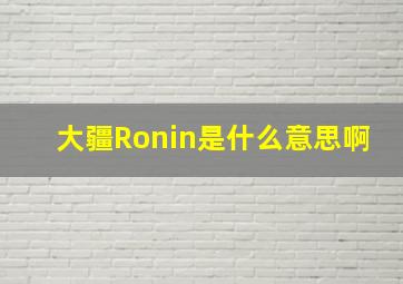 大疆Ronin是什么意思啊