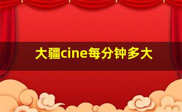 大疆cine每分钟多大