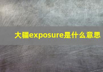 大疆exposure是什么意思