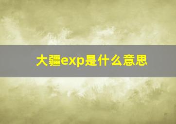 大疆exp是什么意思