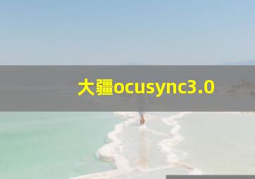 大疆ocusync3.0