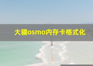 大疆osmo内存卡格式化