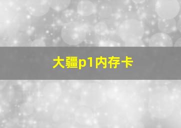 大疆p1内存卡