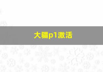 大疆p1激活