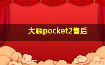 大疆pocket2售后