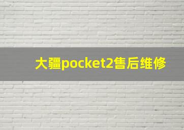 大疆pocket2售后维修