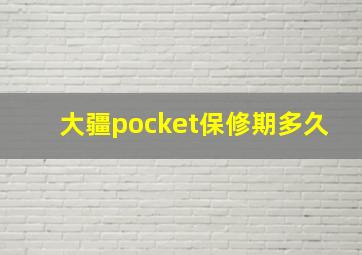 大疆pocket保修期多久