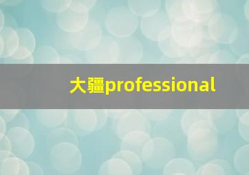 大疆professional