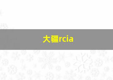 大疆rcia