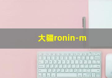 大疆ronin-m