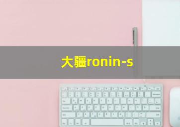 大疆ronin-s