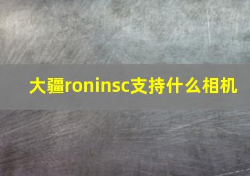 大疆roninsc支持什么相机