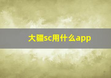 大疆sc用什么app