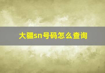 大疆sn号码怎么查询