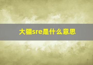 大疆sre是什么意思