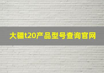 大疆t20产品型号查询官网