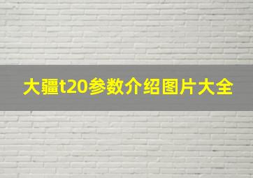 大疆t20参数介绍图片大全