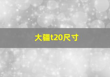 大疆t20尺寸