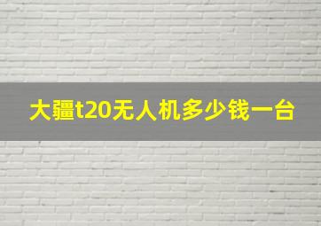 大疆t20无人机多少钱一台