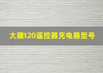 大疆t20遥控器充电器型号