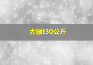 大疆t30公斤