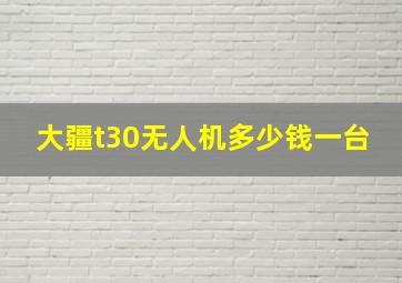 大疆t30无人机多少钱一台