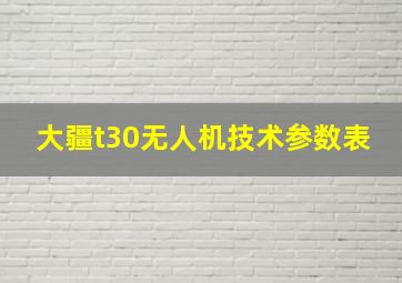 大疆t30无人机技术参数表