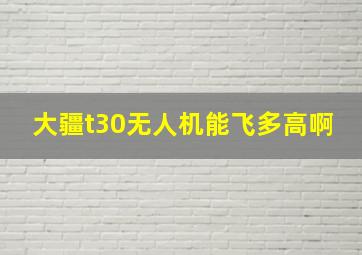 大疆t30无人机能飞多高啊