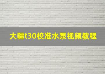 大疆t30校准水泵视频教程